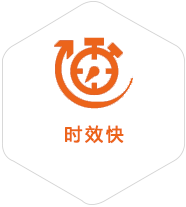 文城镇到意大利物流公司